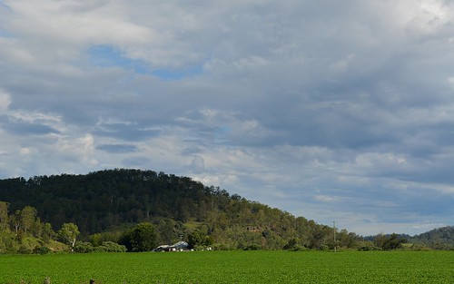landscape australia nsw clarencevalley ruralaustralia northernrivers rurallandscape afternoonlandscape jacksonsflat
