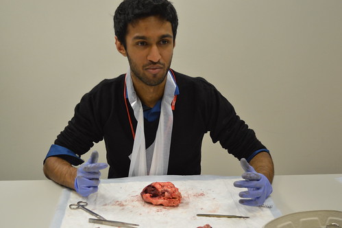 Cardiothoracic Surgery Workshop