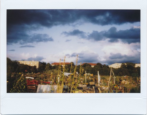 ft_07 | by Oda Momentum