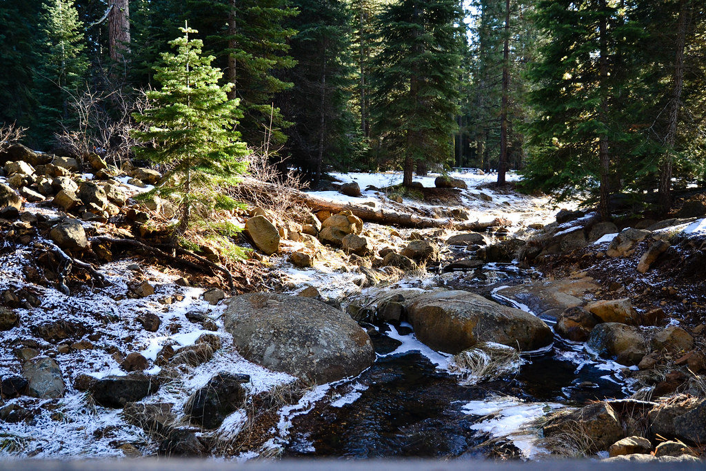 Lake Almanor Recreation Trail