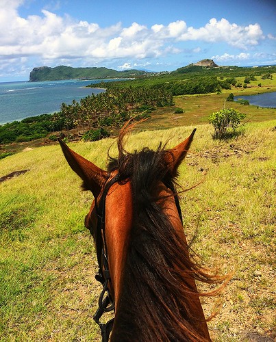 vieuxfort saintlucia caribbean landscape betweentheears viewfrommyhorse horse simpybeautiful
