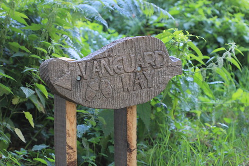 Vanguard Way - Ashdown Forest 
