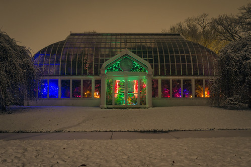 park christmas xmas longexposure trees holiday snow ny newyork nature colors night landscape outside outdoors lights pretty alone exterior scenic conservatory nighttime colored snowing highlandpark nys rochesterny olmsted westernnewyork wny monroecounty lamberton fredericklawolmsted dandangler