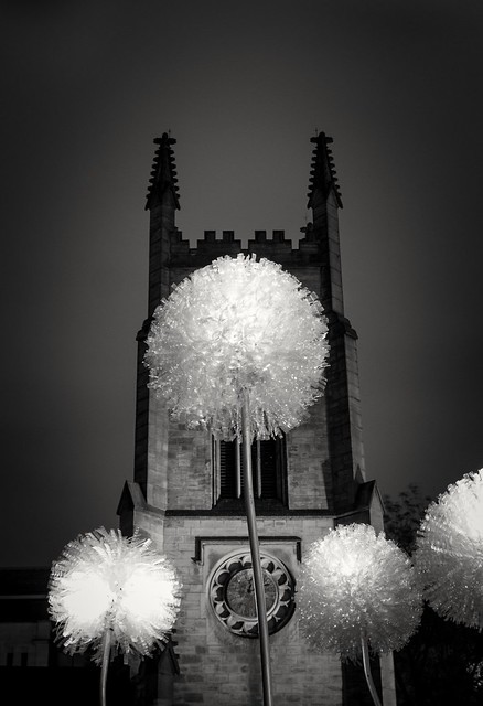 Olivia d'Aboville's giant dandelion installation Leeds.