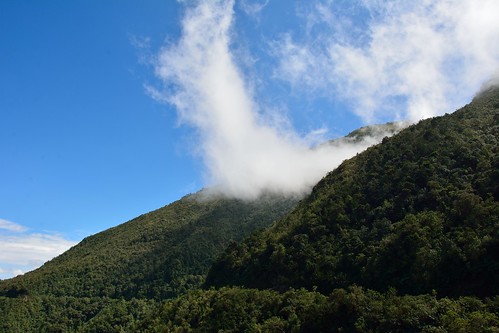 ecuador reserva yanacocha
