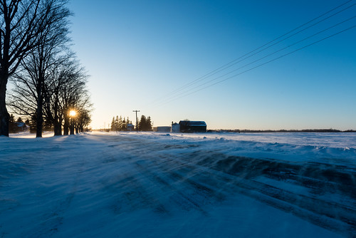 winter sun snow ontario canada cold tree field farmhouse rural landscape dusk pavement farm country freezing arctic powerlines flare electricity bluehour oakwood chill drift