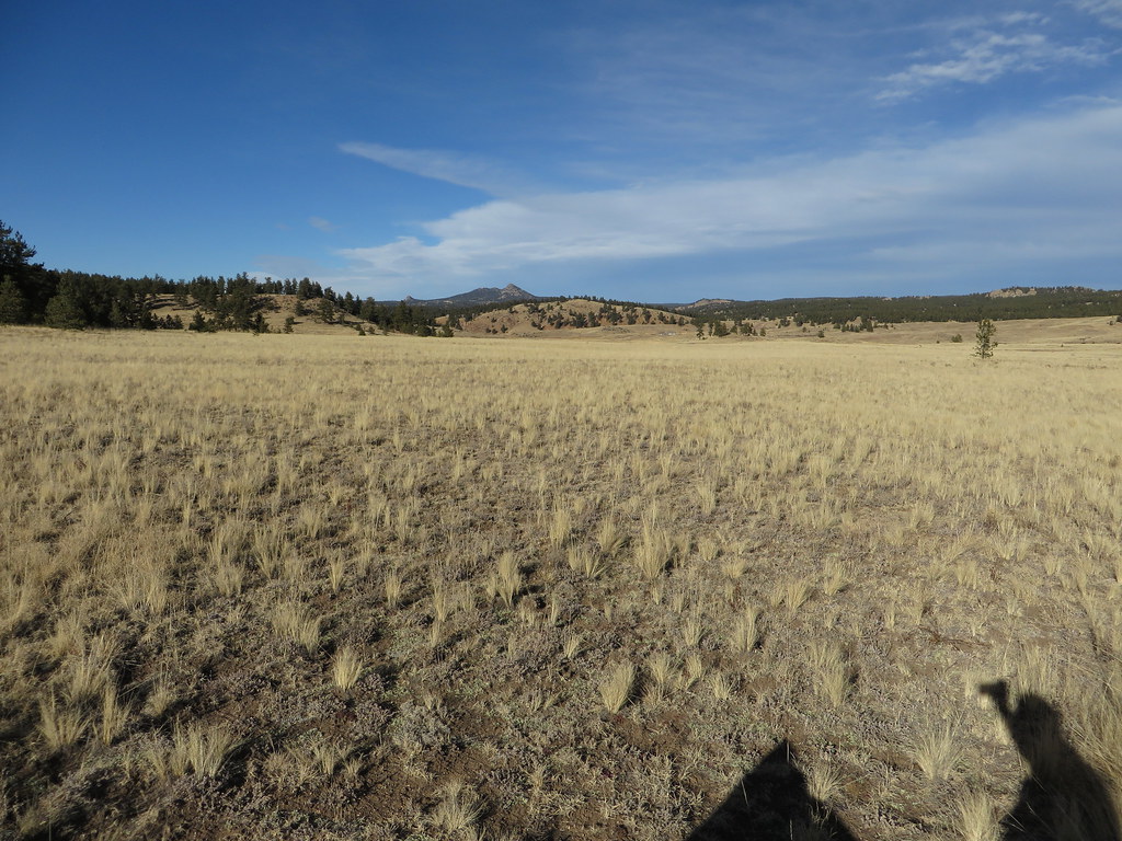 Hornbek Wildlife Loop