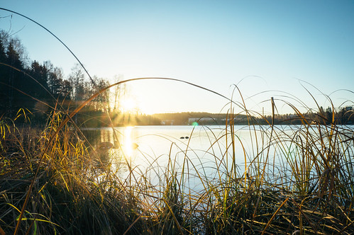 sky sun lake reflection nature water grass forest sunrise finland landscape sony calm blade kuopio bladeofgrass vsco northernsavonia sonynex sel1855 sonynex5n vscofilm