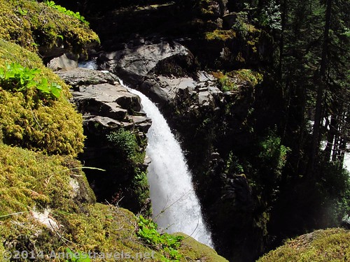 Nooksack Falls, Mount Baker-Snoqualmie National Forest, Washington