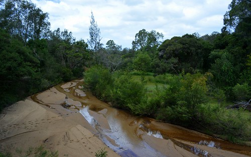 water landscape australia nsw australianlandscape clarencevalley northernrivers creekscape dilkooncreek