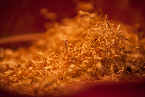 18/365: woodchip bucket | by Mark Bonica
