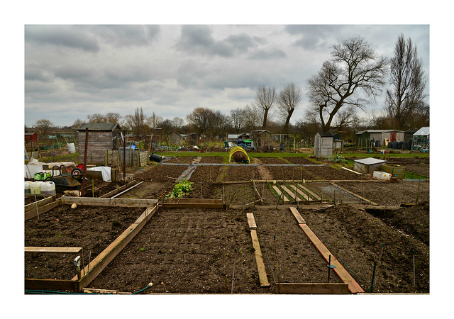 The Allotment Project 1