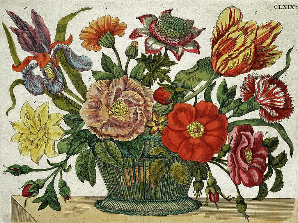 Maria Sibylla Merian: The New Book of Flowers  (1675-1680)