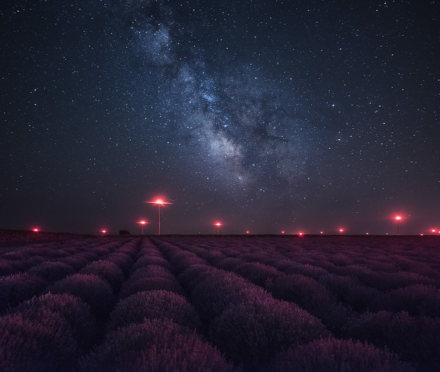 Milky way above lavender field in Bulgaria