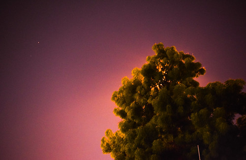 nightphotography night nikon uae rak treelights rasalkhaimah eveing khuzam d5300 nikonphotogrpahy aldhait