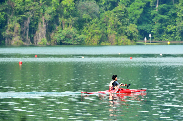 Sunday Kayak Practice | Macritchie Reservoir, Singapore