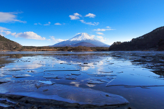 Mt. Fuji from Lake Shojiko