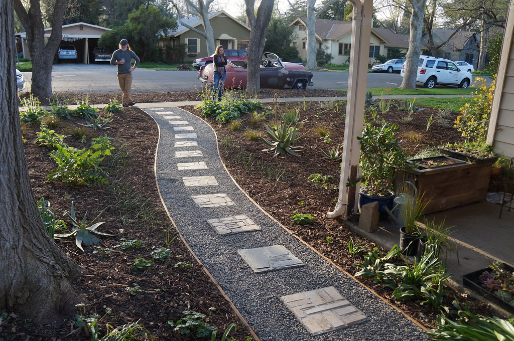 Post fall planting--Spring 2015 one year after sheet mulching begin