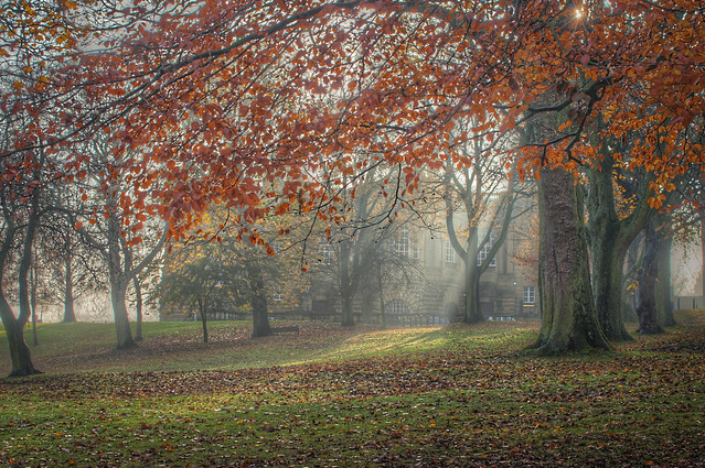 Cartwright Hall Throught The Mist - (HDR Shots)