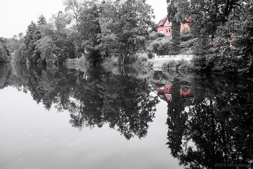 trees red blackandwhite lake water reflections cutout germany landscape redhouse oru jimihendrix selectivecolour 2016 helmstedt badhelmstedt