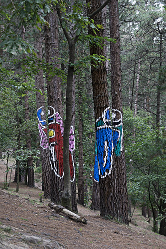 Bosque de Oma 3