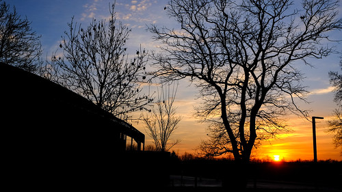 Cambridge sunset, 31 Dec 2014