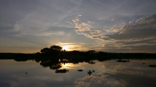 sunset brazil rio brasil river pantanal 930 matogrossodosul lumia corumbá lumiaphotography lumia930