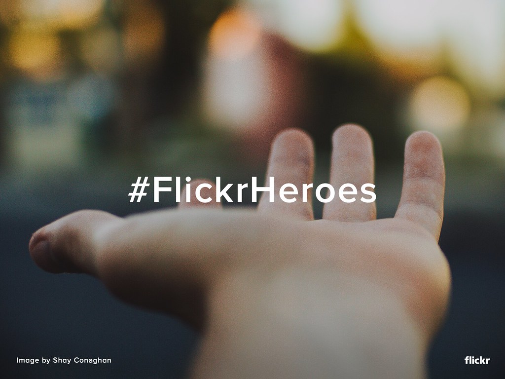 Flickr Heroes of the Week