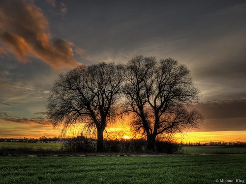 trees sunset solstice hdr photomatix