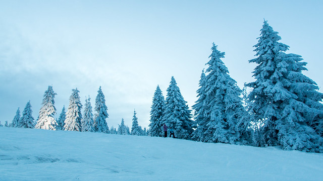 Winter Landscape in Poland 2