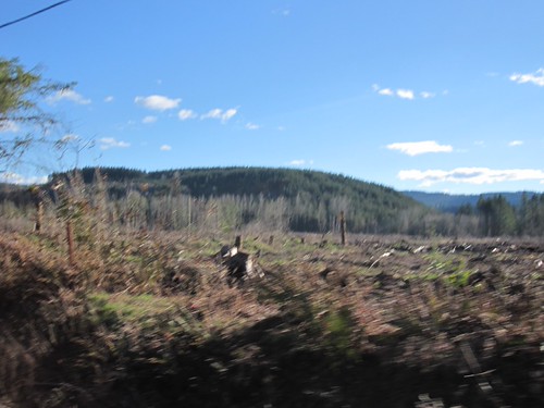 A clearcut just west of Viola by Tysasi,                                permanent populaire 11100 randonneuring springwaterhighlands