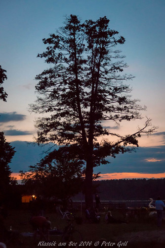 2016 dechsendorferweiher klassikamsee konzert sunset sonnenuntergang baum tree bluehour pond lake see weiher blaue stunde blue hour sonntenutergang nikon nkkor d800 highiso water wasser
