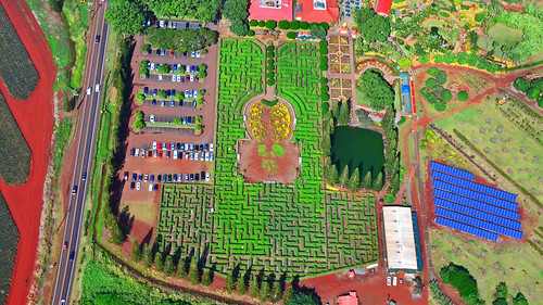 vacation plant hawaii tour view ride oahu aerial helicopter hedge maze hi dole edmund garman d7000