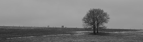 trees winter bw panorama walking landscape blackwhite walks noiretblanc walk walkers noirblanc ebly