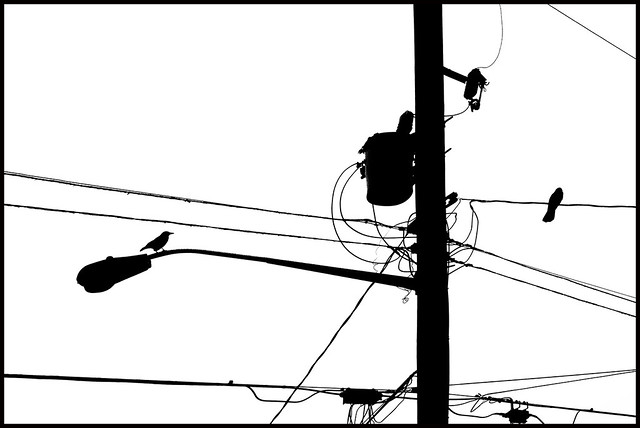 Crows and Transformer
