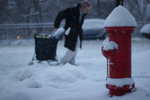 NYC Snowy Hydrant