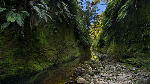 Waggon Creek | by Metta And Light