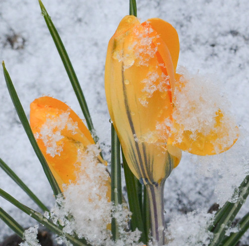 apr 6.... | by phbyo