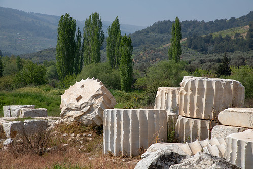 stone templeofartemis column poplartrees sardis asiaminor greek ruins manisa turkey tr