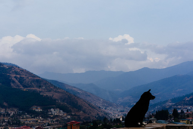 Thimphu's Guardian.