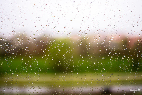 rain raindrops drops window troughthewindow raining spring macro closeup falling novisad city serbia srbija citylife urbanjungle relaxing view windowview