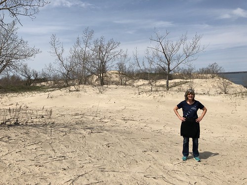 Sandbanks Linda on a dune posing