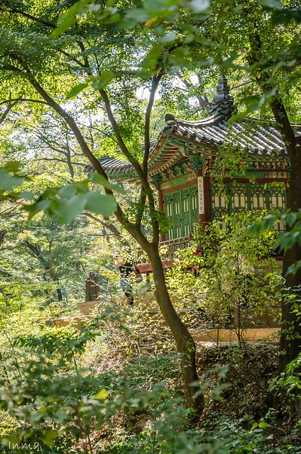 Seul. Palacio de Changdeokgung