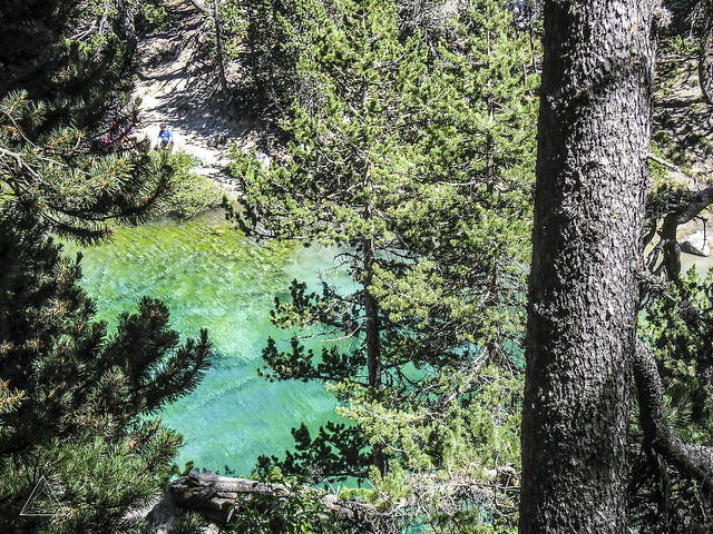 Cold Green Water