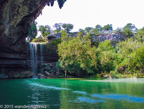 pool landscape waterfall texas swimmingpool hamiltonpool