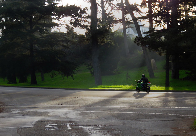 moto and sun rays in golden gate park, san francisco (2015)