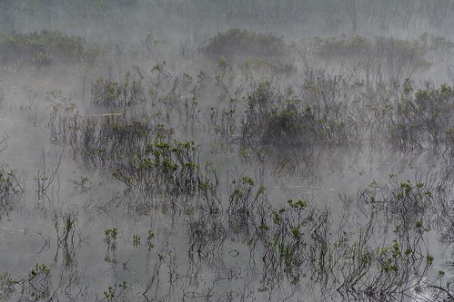morning summer usa lake ny abstract nature water fog reflections landscape us adirondacks northamerica morningfog adirondackpark