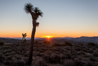Sunrise | by Joshua Tree National Park