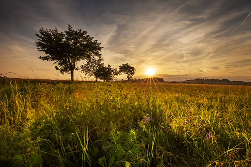 Meadow bathed in sunshine by tomaskriz1, Meadow bathed in sunshine. Magical sunset and Moravian landscape Lipova.sunset sunshine bathed meado
