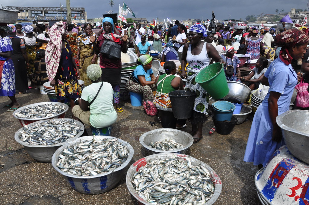 Image result for Elmina Fish Market